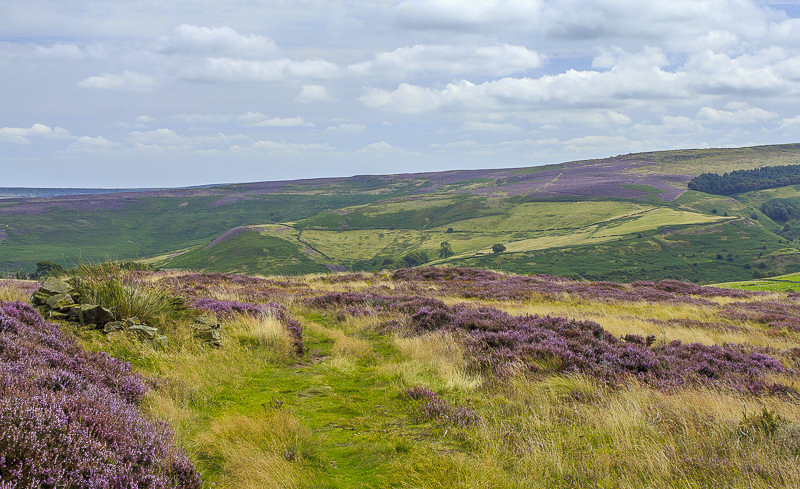 Eyam Moor Eyam Moor